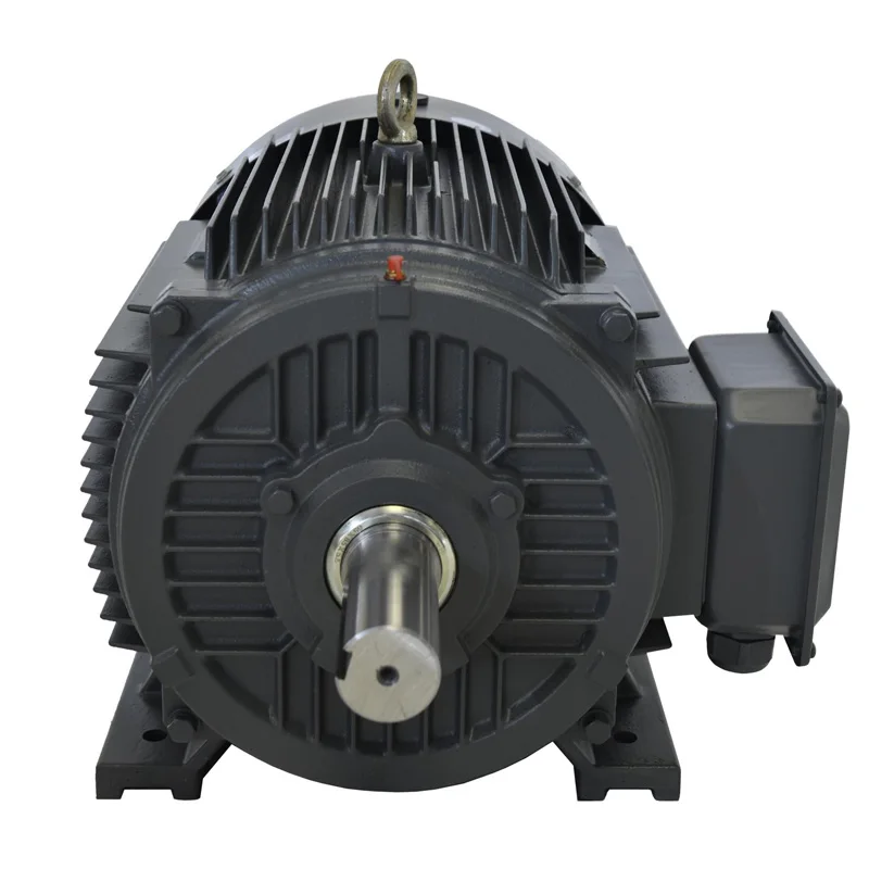 Three 3 Phase Induction Asynchronous  Motors Electric Permanent Magnet Motor Price for air Compressor and Water Pump