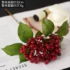 Single-stem bean berry red