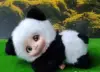 Lie panda