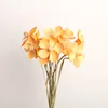 Arancione