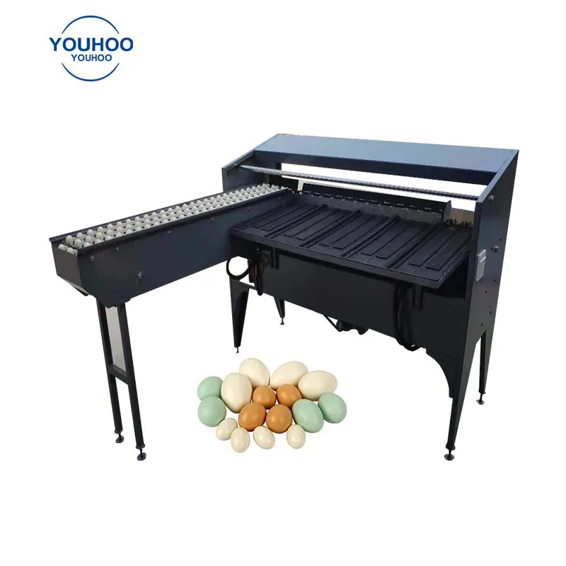 Industrial Small Egg Scale Classification Machine Egg Classifier Weight Grader Sorter Machine Cost