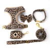 Brown Leopard
