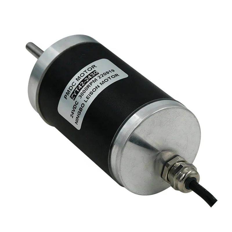 ZYT42 Waterproof DC Electric Motor 12V 24V, 3000RPM, Ideal for