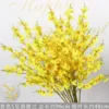 Orchidée jaune dansante à 5 fourches