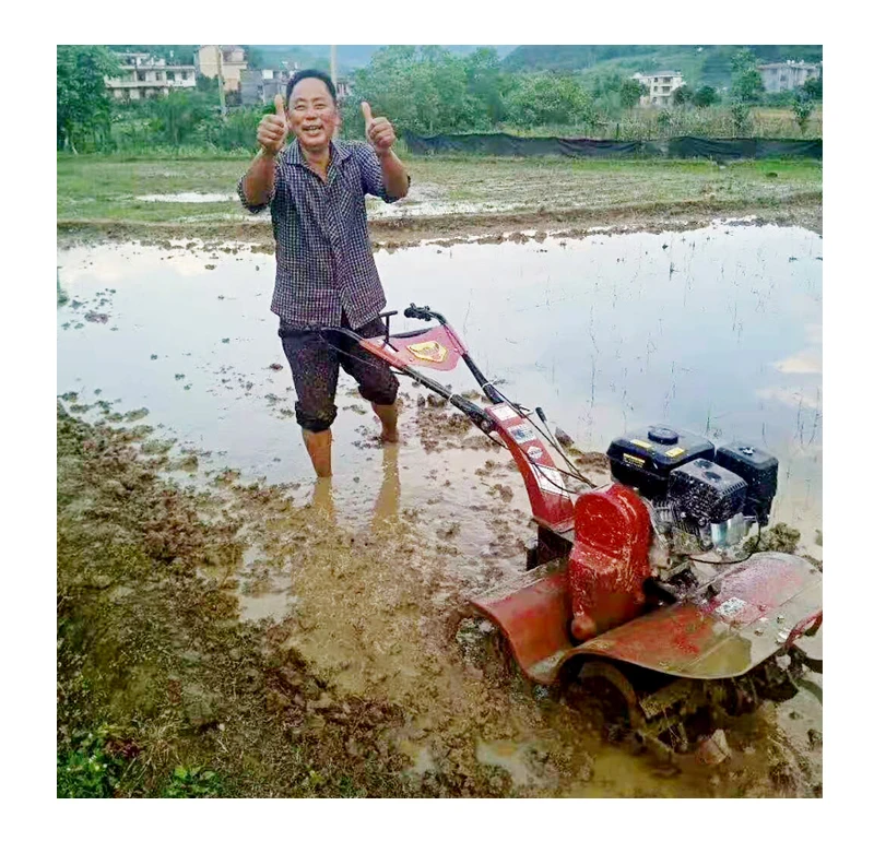 Factory Price Tractor and Rotary Tiller for Sale Mini Power Tiller