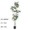 Nuevo Árbol del Dinero de 190 cm