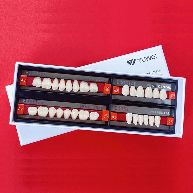 Factory Price Denture False Artificial Teeth Buy Denture Teeth False