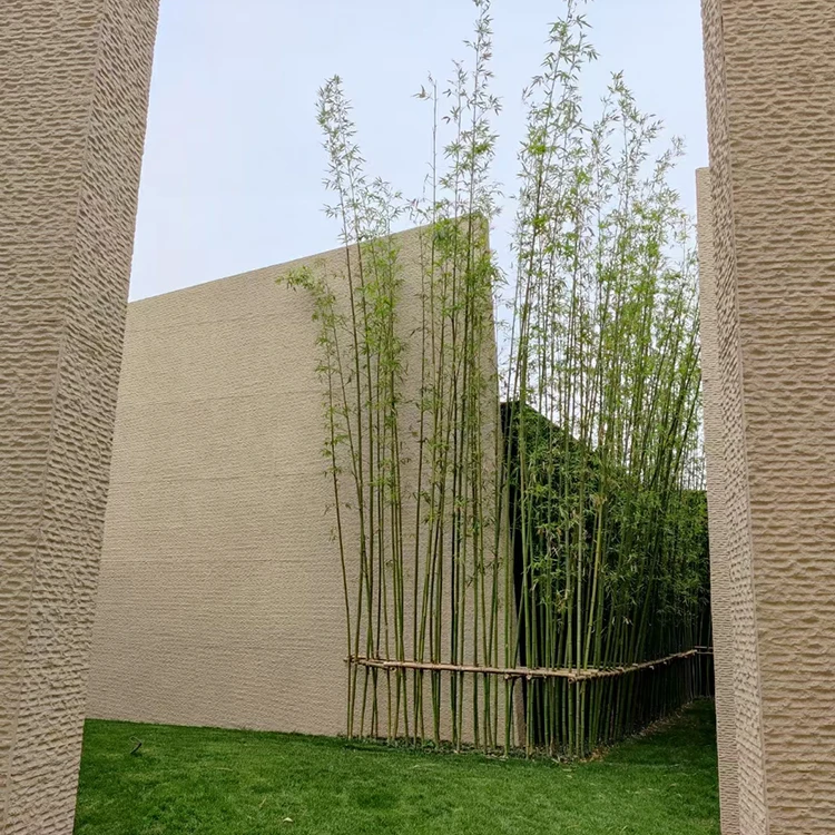 Rinsun Source Factory AA LEVEL FIRE PROOF Piedra Flexible Flexible Marble mcm Flexible Clay Striped Stone for Inside&outside
