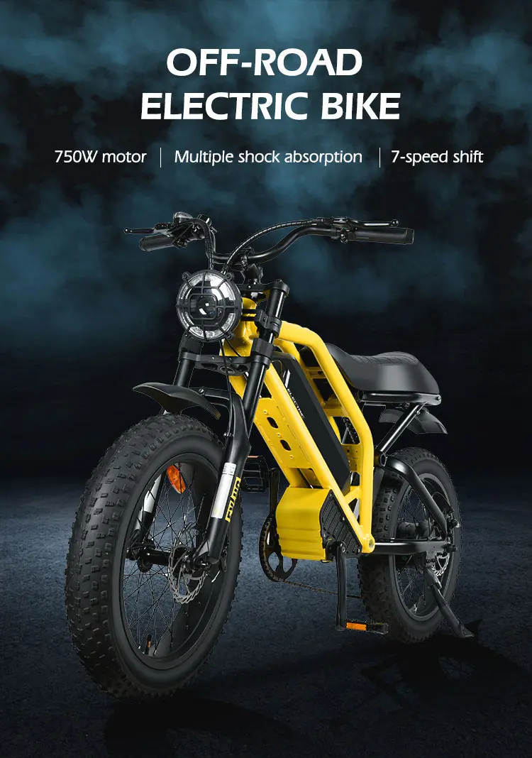 Mz12 Motorcycles Ebike Fatbike Electrische Fat Tire City E Mountain