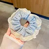 3 trapano caldo blu