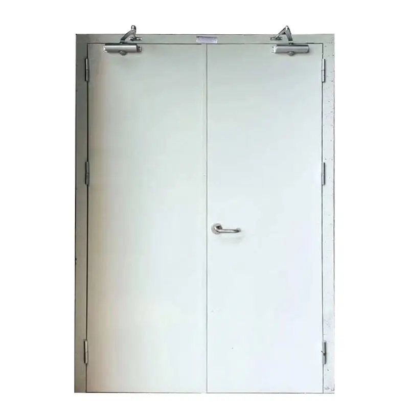 Modern Double Leaf Fireproof Steel Doors 2 Hour Security Rating Swing Open Style-for Hotels Schools Hospitals with Certificates