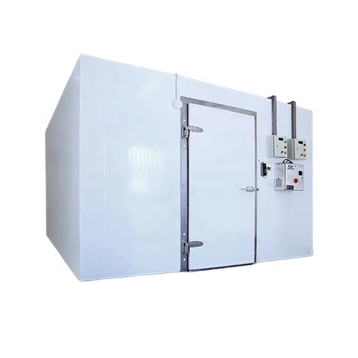 20Ft 40Ft Cold Storage Solar Container Cold Room Freezer System Cold Room Storage Price