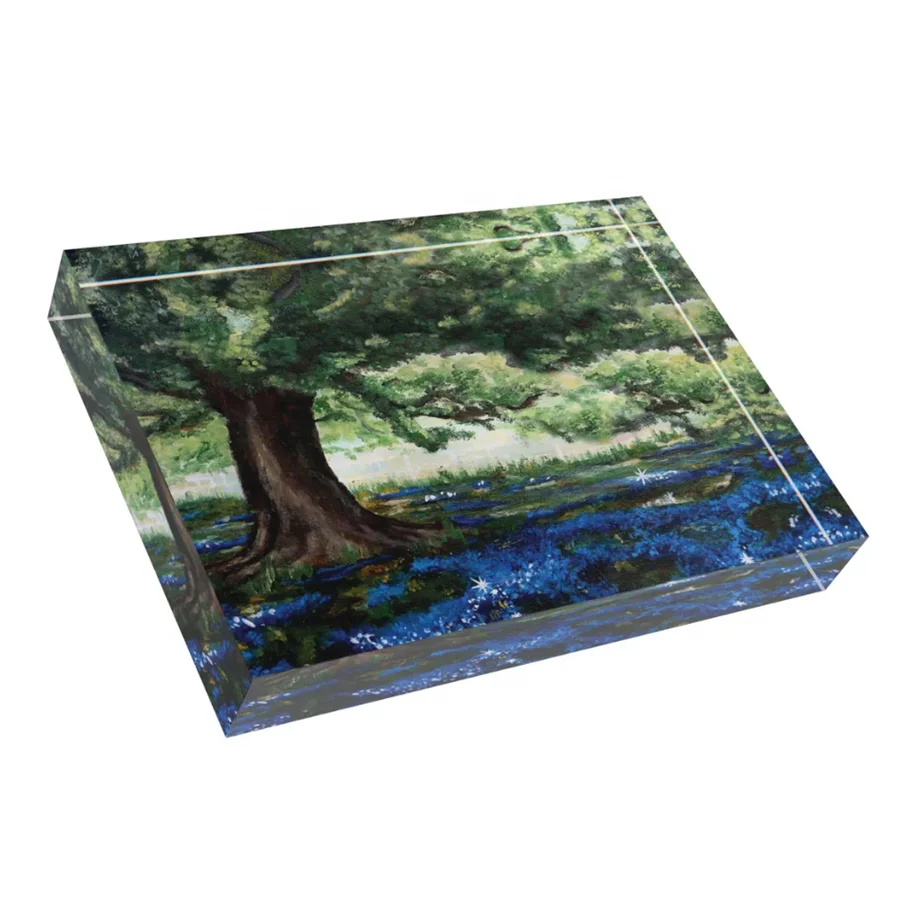 UV Printed 4x6 Custom Acrylic Logo Art Photo Display Block Blank Cube Block