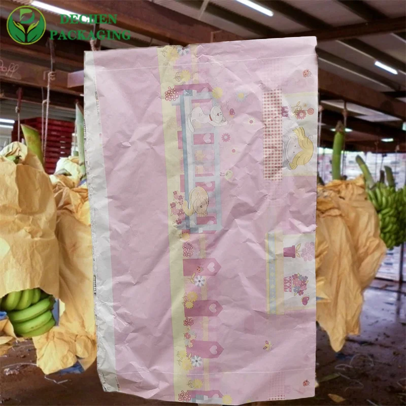 智利水果覆盖保护纸袋在秘鲁