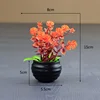Black Pot - Autumn Red