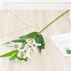 Narcissus lily-white