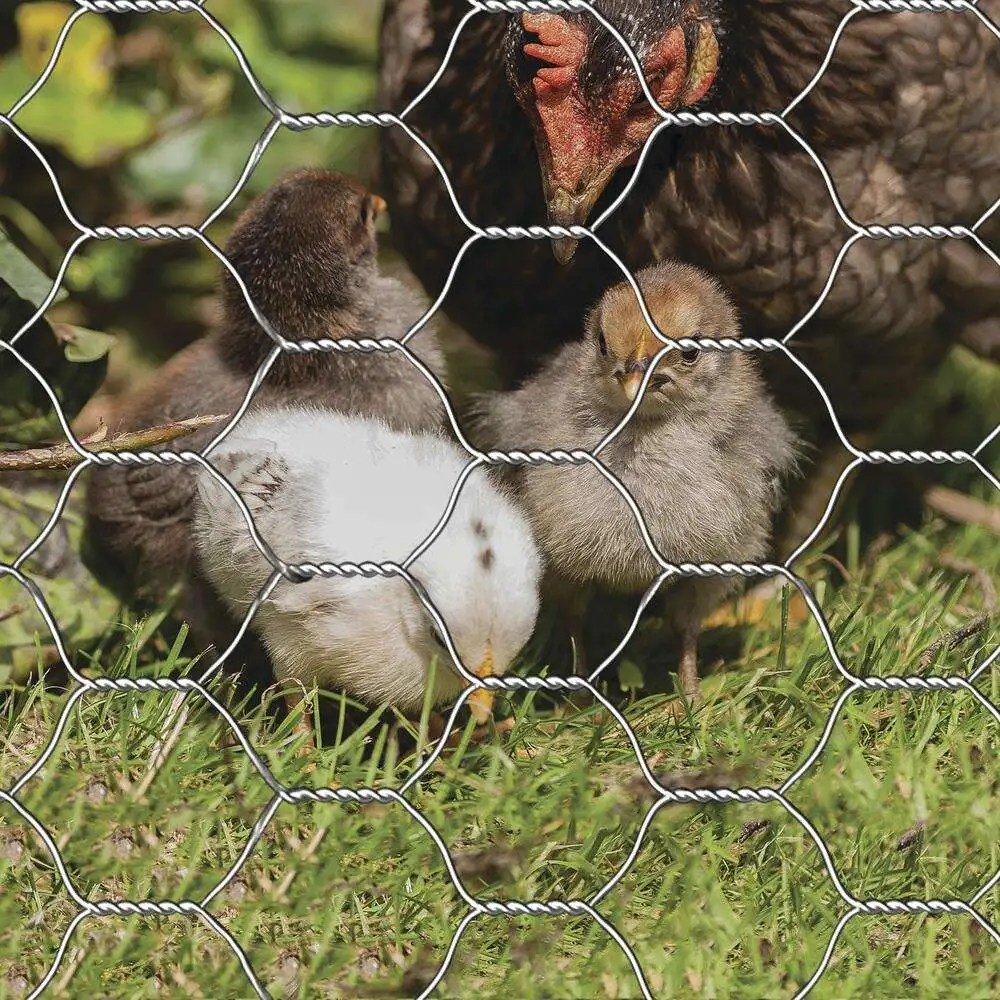 Free Range Goose Hex Fencing  Marks Grazing Areas Prevents Geese from Wandering