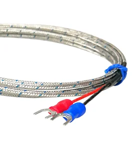 Armored Thermocouple