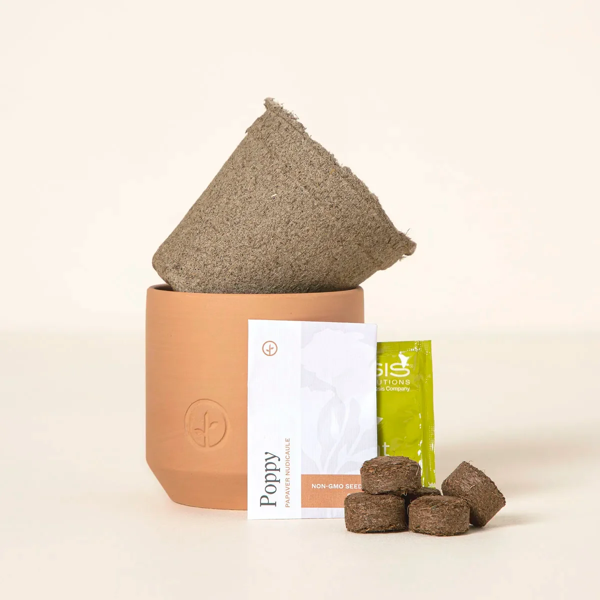 Deluxe Champagne Poppies Terracotta Grow Kit Clear For Garden Starter