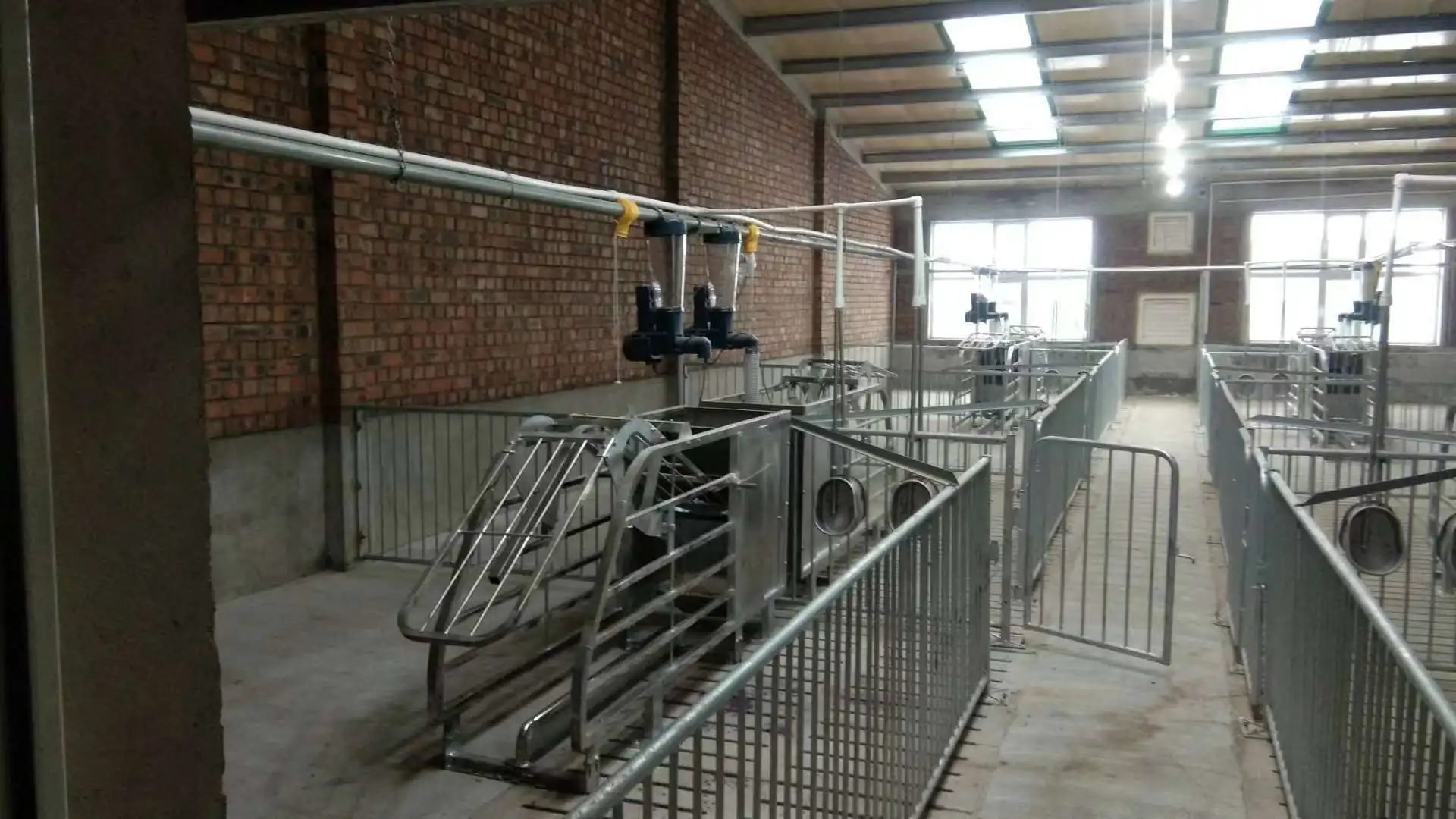 Animal Cages pig fatten cage pig fattening cages finishing Crate Wean To Finish Stalls For Pigs