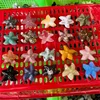 Estrella de mar multicolor