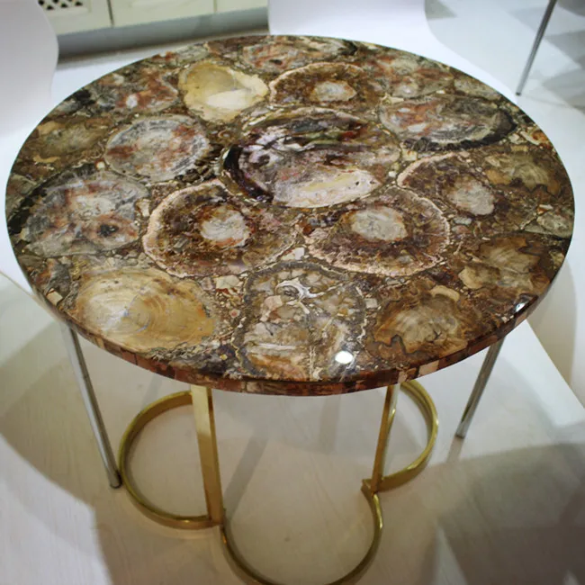 Brown fossil Stone Petrified Wood Semiprecious Stones Slab Table Price