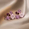 Viola