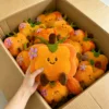 15 peluches (contáctanos para obtener el catálogo con más de 6000 estilos)