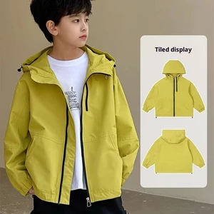 Customized Children and Boys Spring New Large Printed Polyester Short Jacket Korean Zipper Hooded Long Sleeve Clothes for Kids