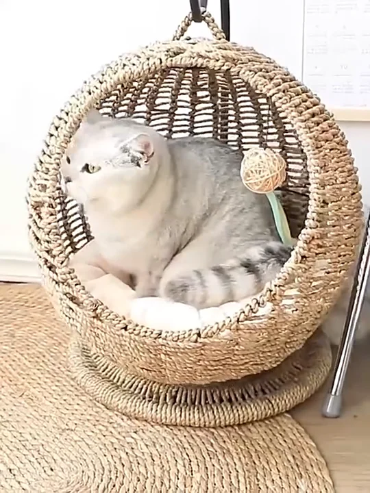 Hand Made Wicker Cat Bed Basket Swinging Pet House Nest For Small Dog