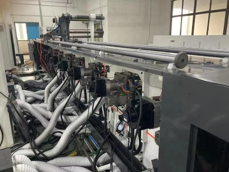 8 Colors 9 Colors Label Flexo Graphic Printing Machine for Sale