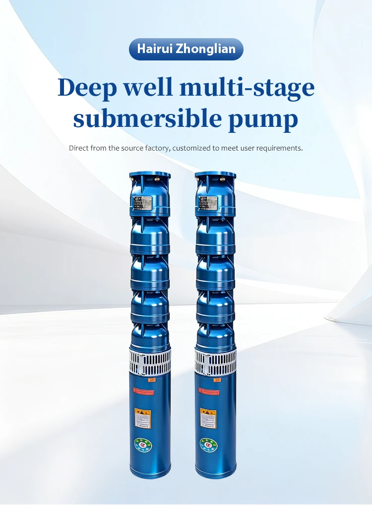 Stainless Steel Submersible Deep Well Water Pump - HRZL