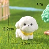 Bichon Frise
