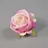 light rose red
