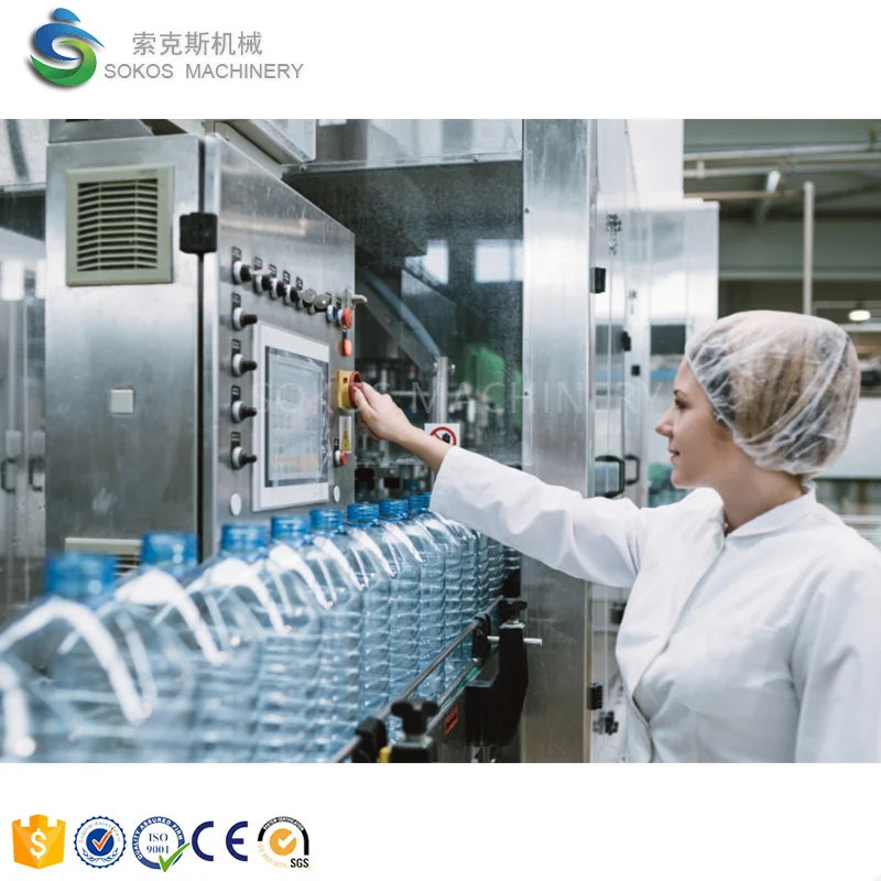 Fully Automatic Complete 2000BPH PET Bottled Drinking Mineral Water Filling Line