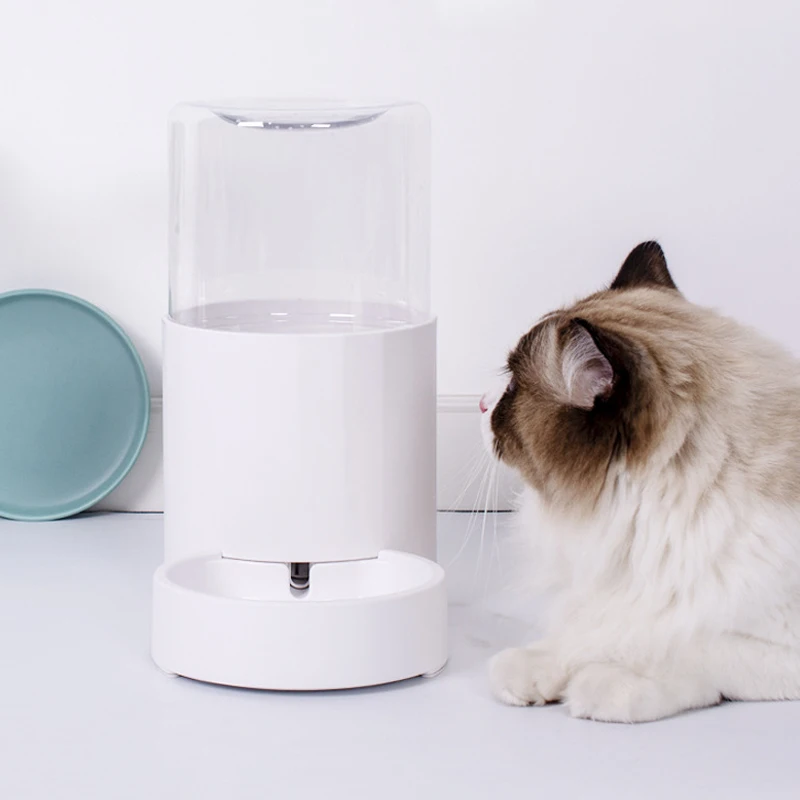 large automatic dog feeder