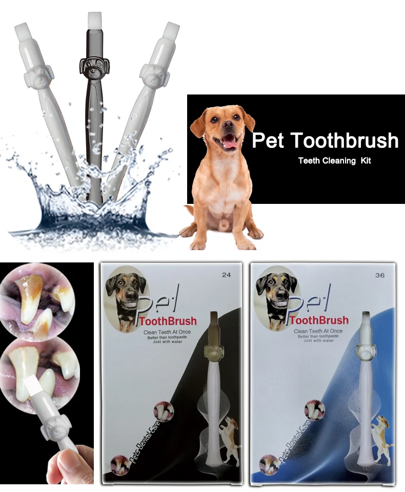 what is the best product to clean dogs teeth