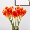 สีส้ม