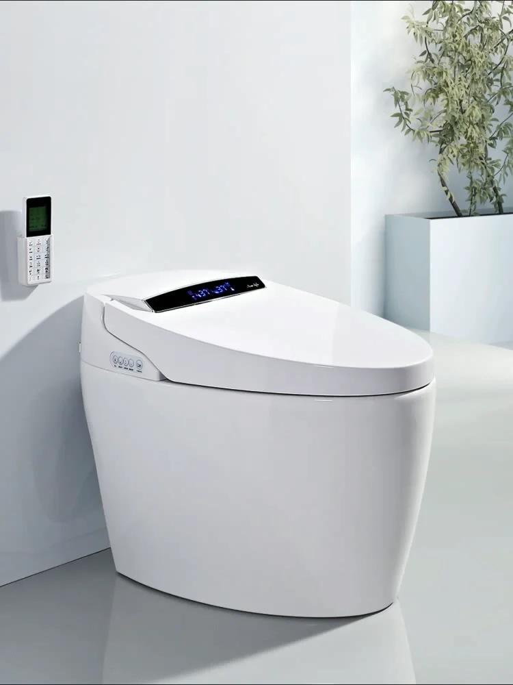 Automatic Intelligent Shower Toilet Wc Smart Seat Toilet With Bidet