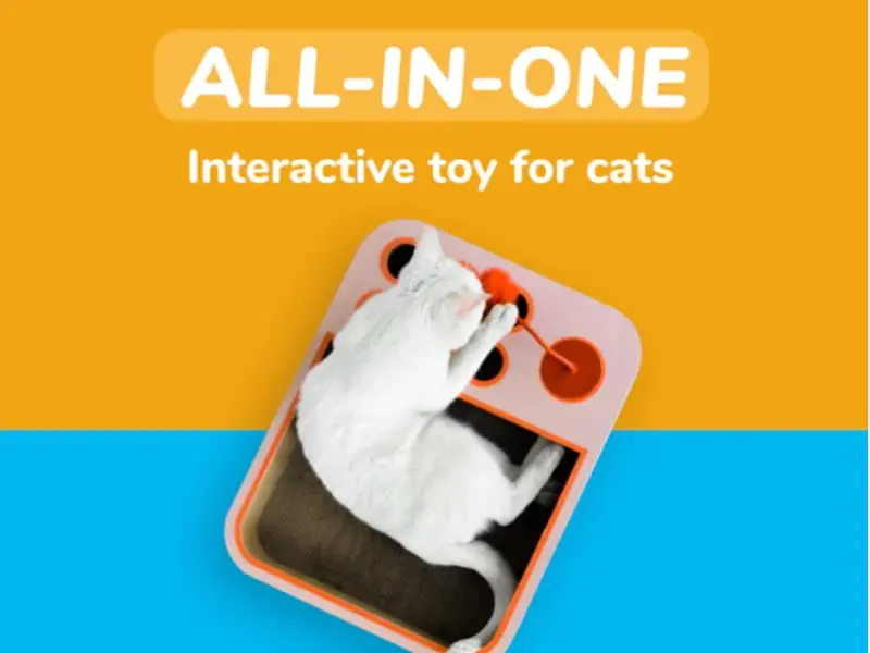 Cheerble Cat Ball, Board Game 
