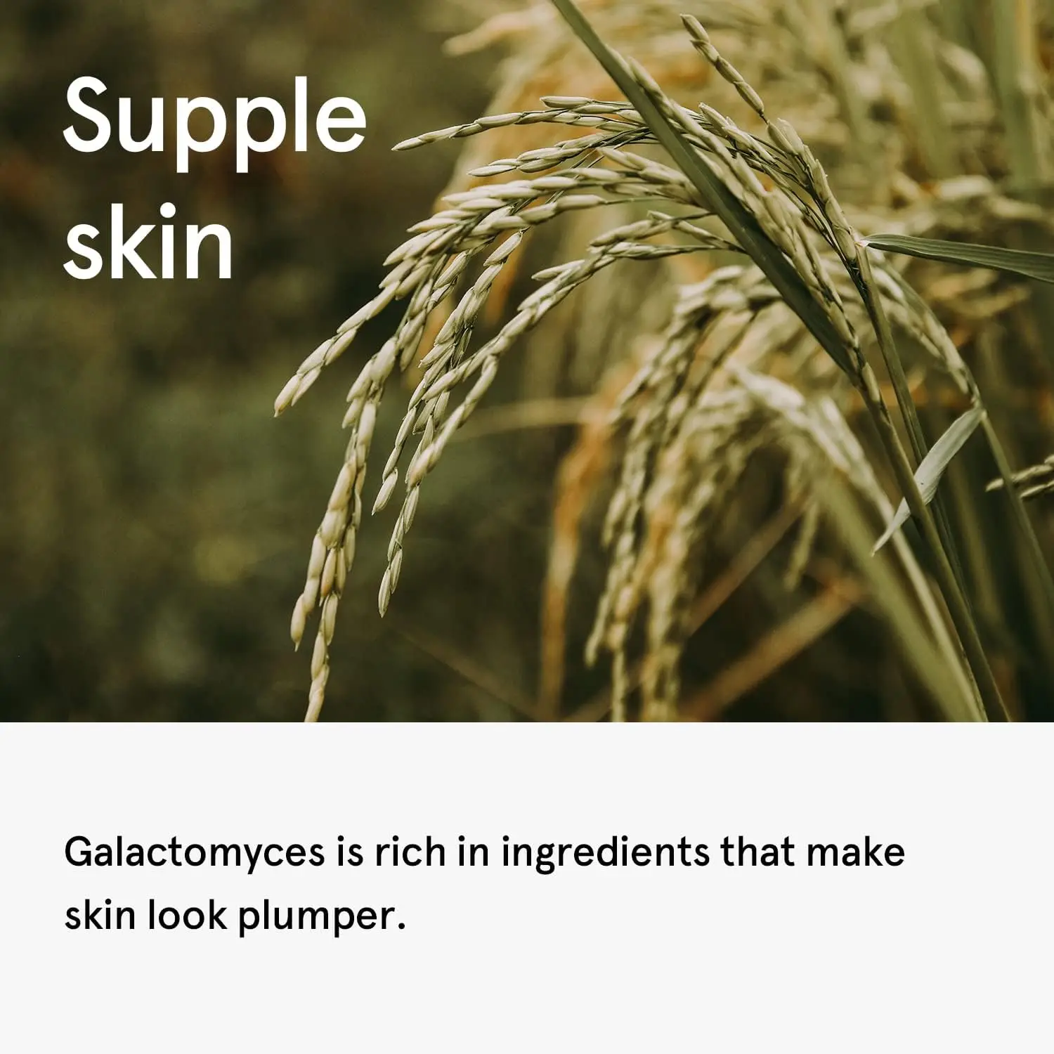 ONE THING Galactomyces Ferment 150ml Filtrate Daily for Essence Hydrating Toner for Clear Smooth Skin Pore  Korean Skin Care