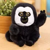 White-faced monkey-biye