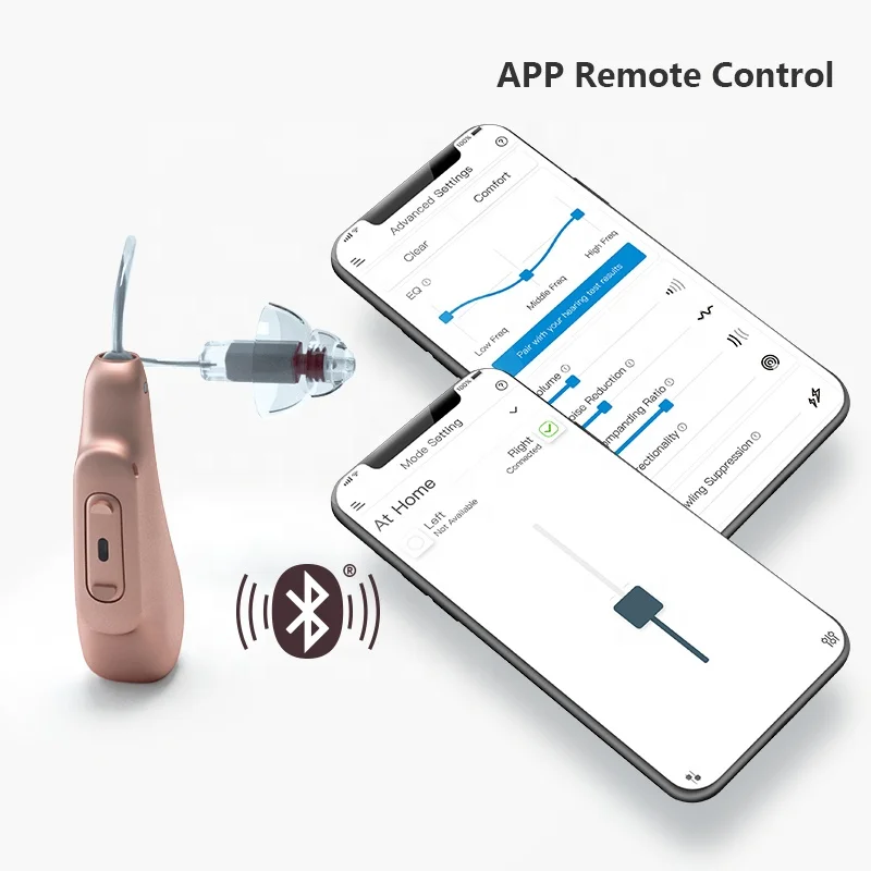 Hearing aid 6-2 Z06.jpg