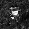 Negro Detox