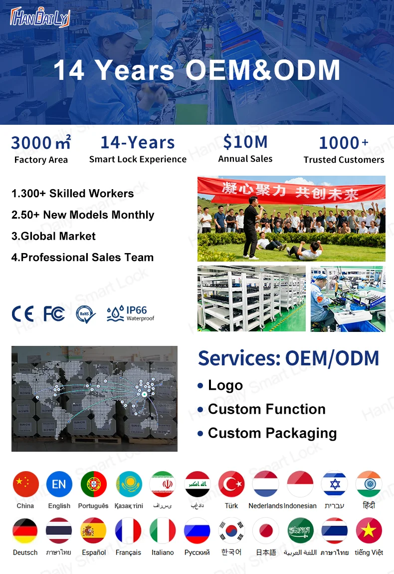 handaily logo custom video talking smart lock with privacy password face recognition tuya wifi digital locks h8-0