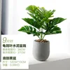 Jardinière en ciment Monstera