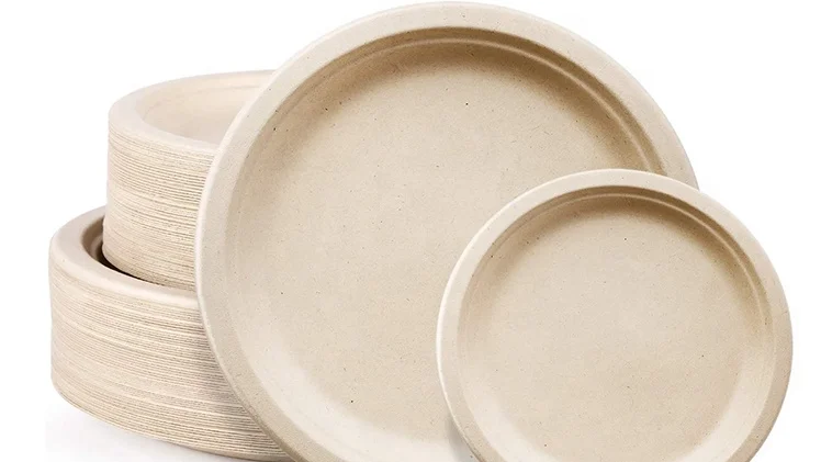 biodegradable square sugarcane fiber compostable paper plate for