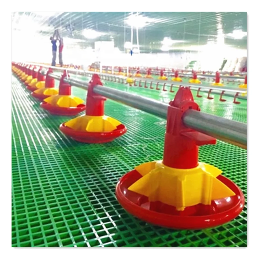 Full Set Automatic EC Type Closed Poultry Shed Equipment for Broiler