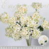 Champagne-colored 2-headed angel hydrangea