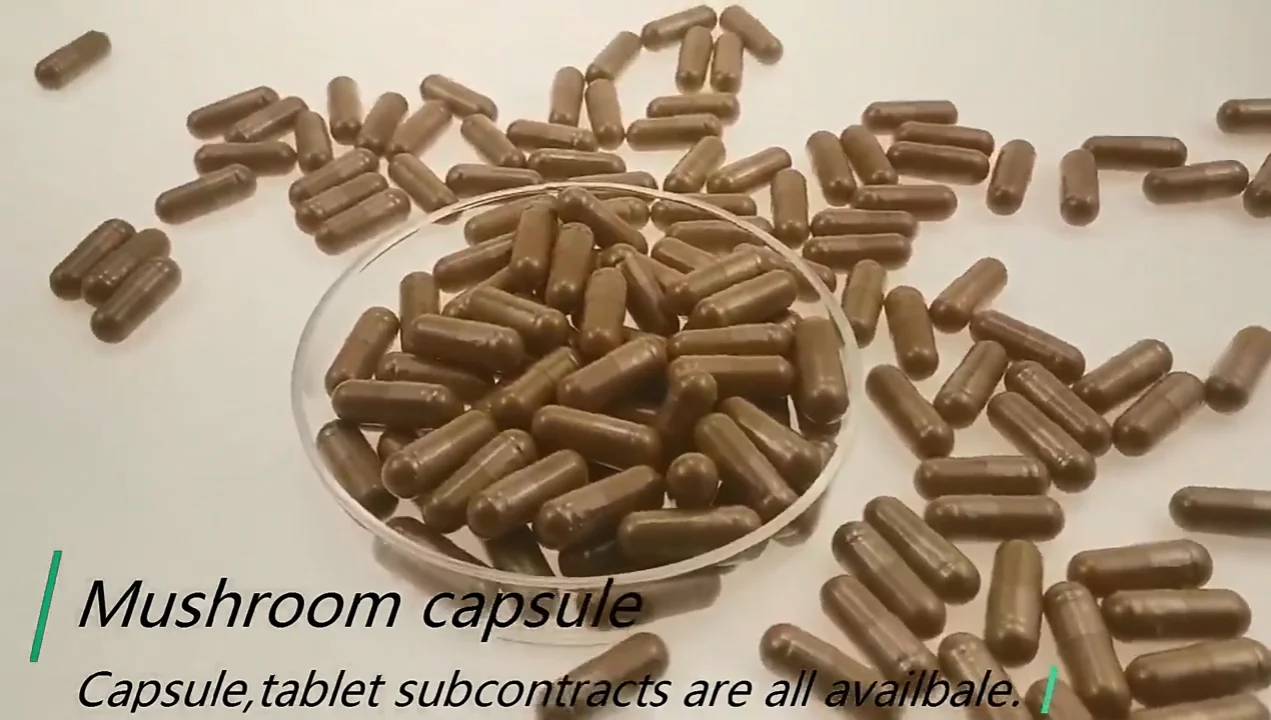 Multi Mushroom Extract Capsules Mushroom Capsules Buy Mushroom
